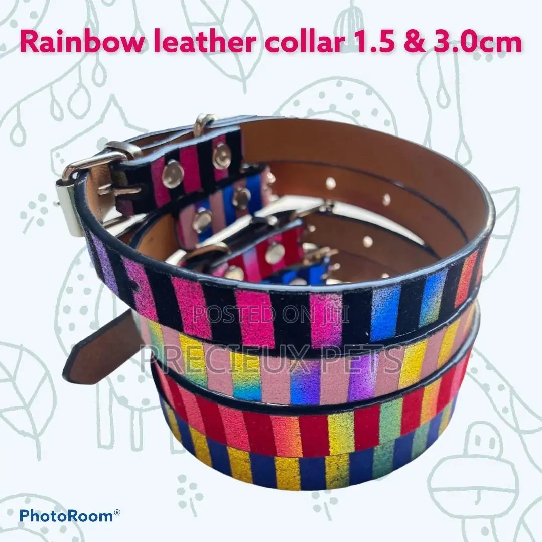 Rainbow Leather Collar for Adult Toy Dogs