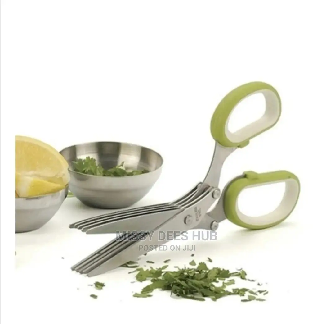 5-Layered Kitchen Scissors With Brush