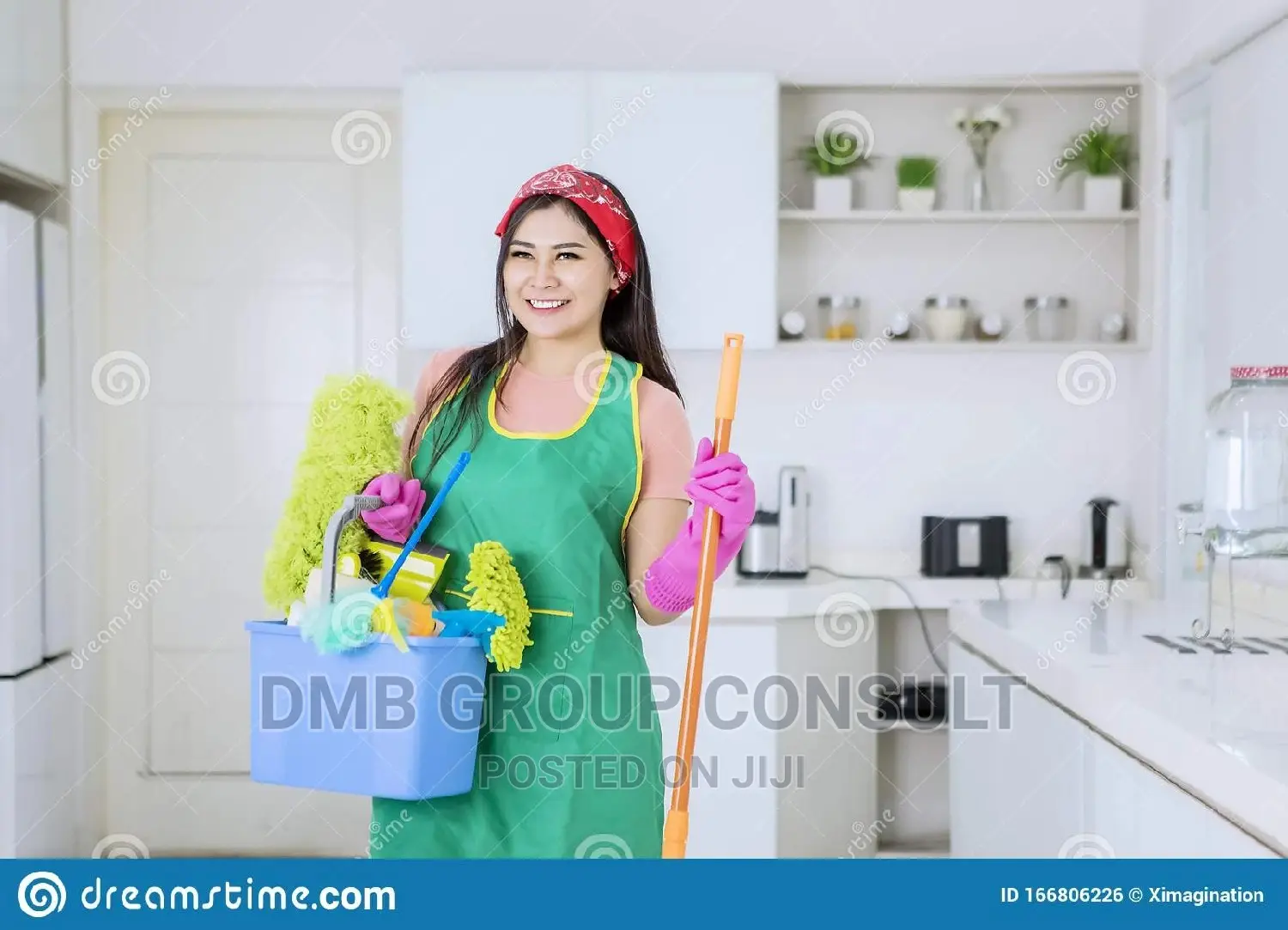 Your House Cleaners