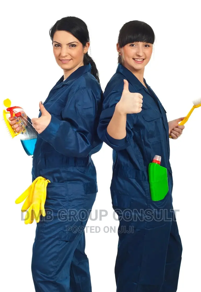 Your House Cleaners