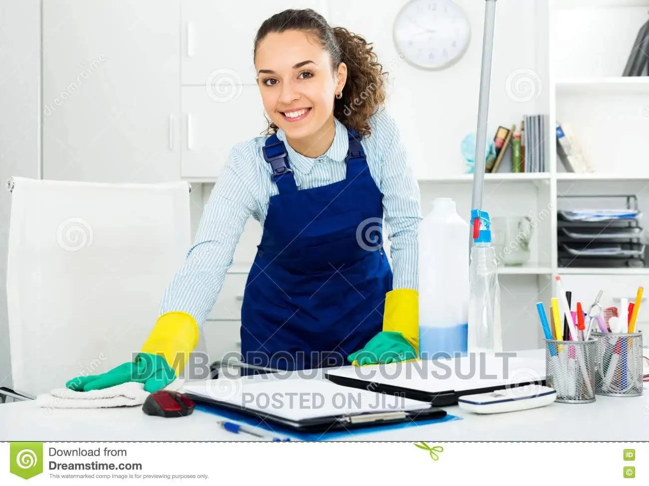 Professional CLEANER