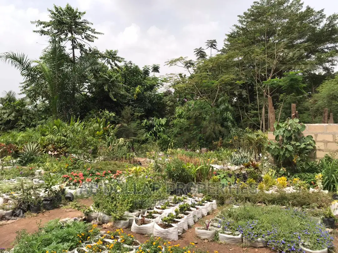 3 Acres of Land for Sale