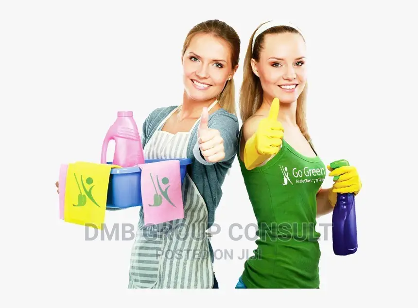 Professional Cleaners