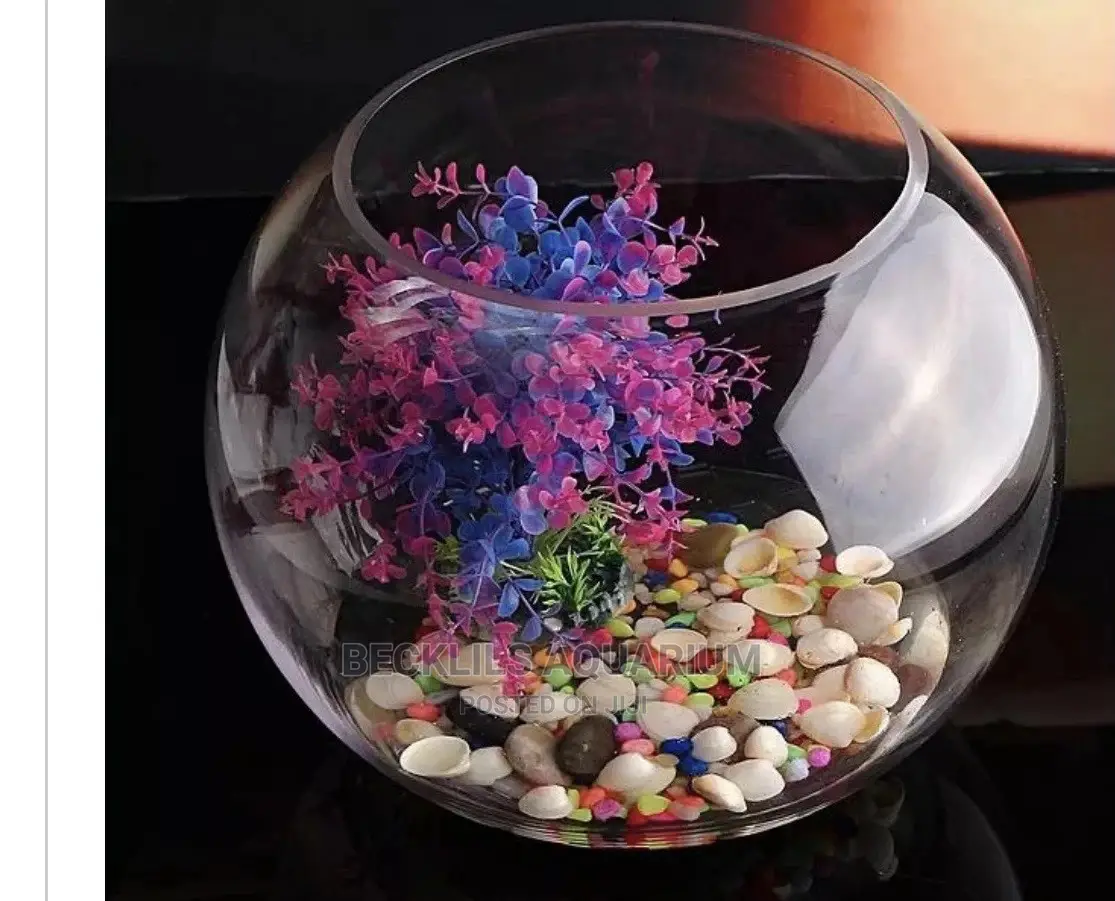 Mini Aquarium Fish Bowl