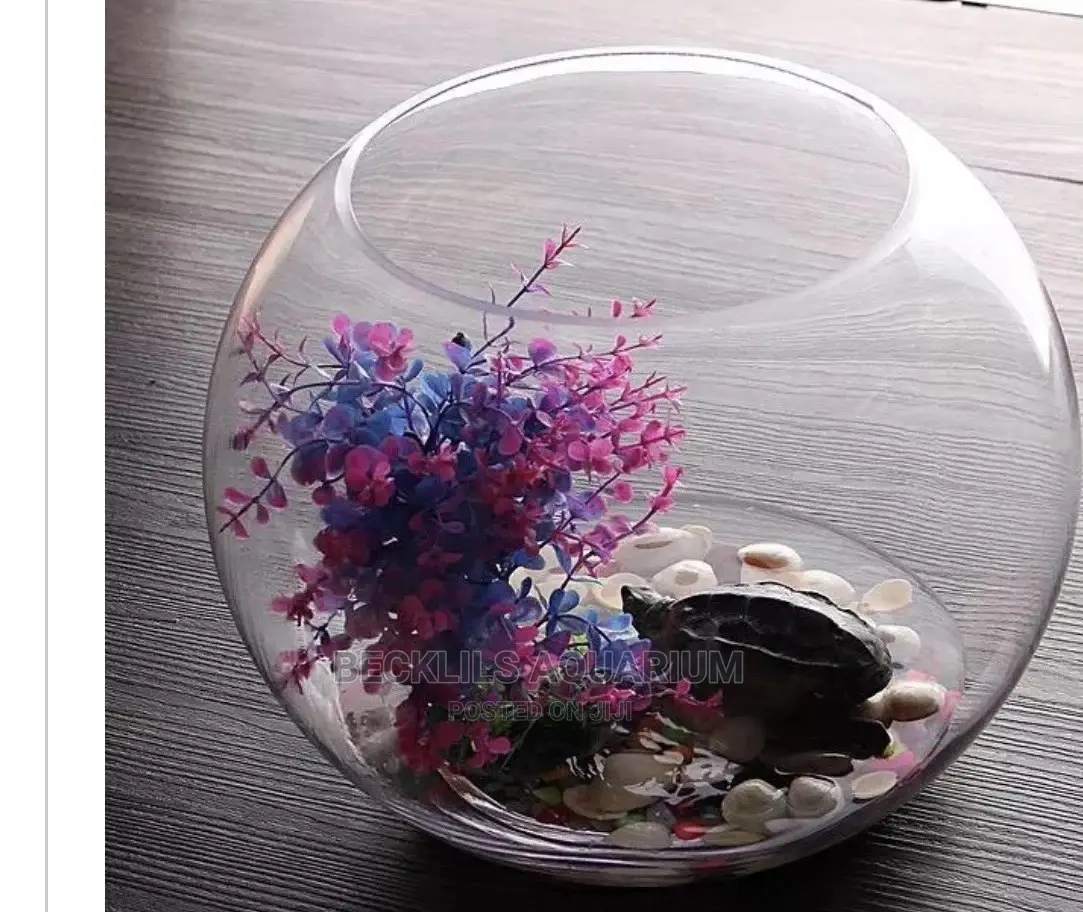Mini Aquarium Fish Bowl