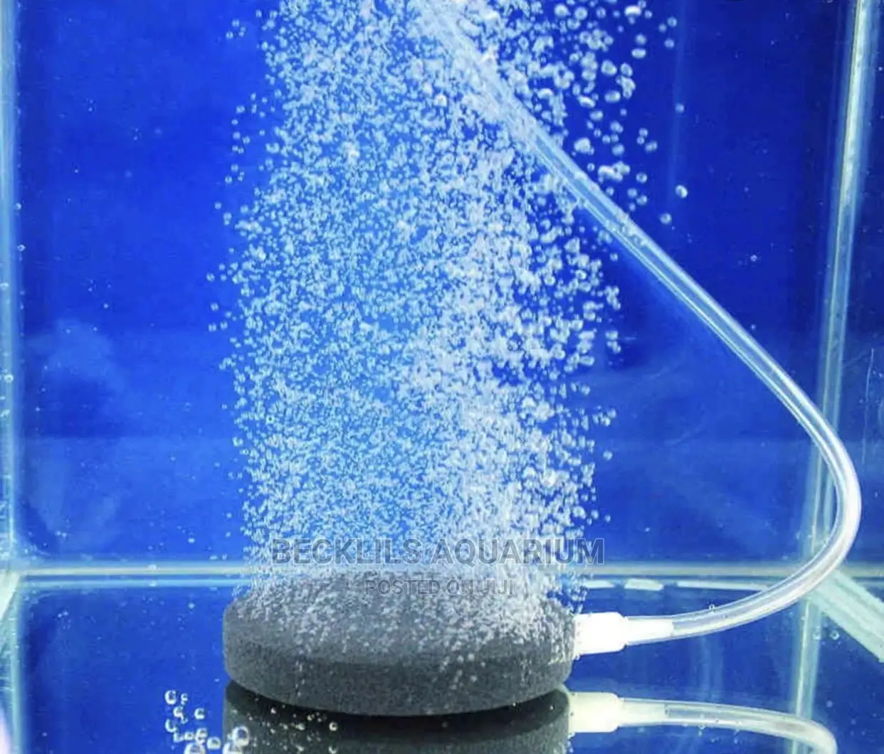 Aquarium Airstone