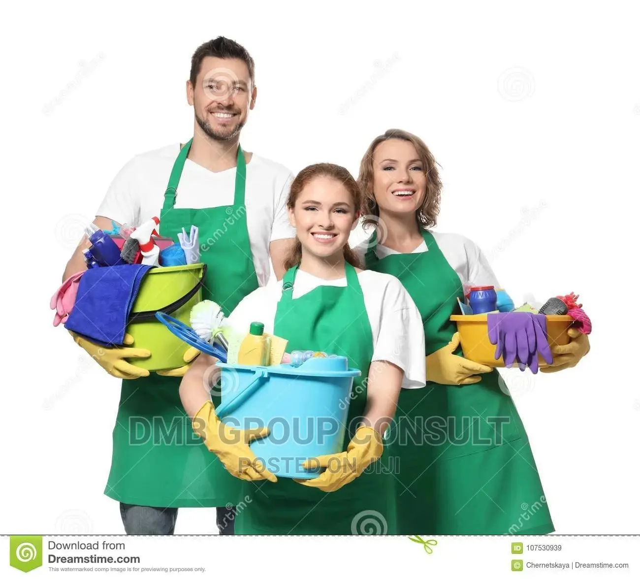 DO You Need Cleaners ?