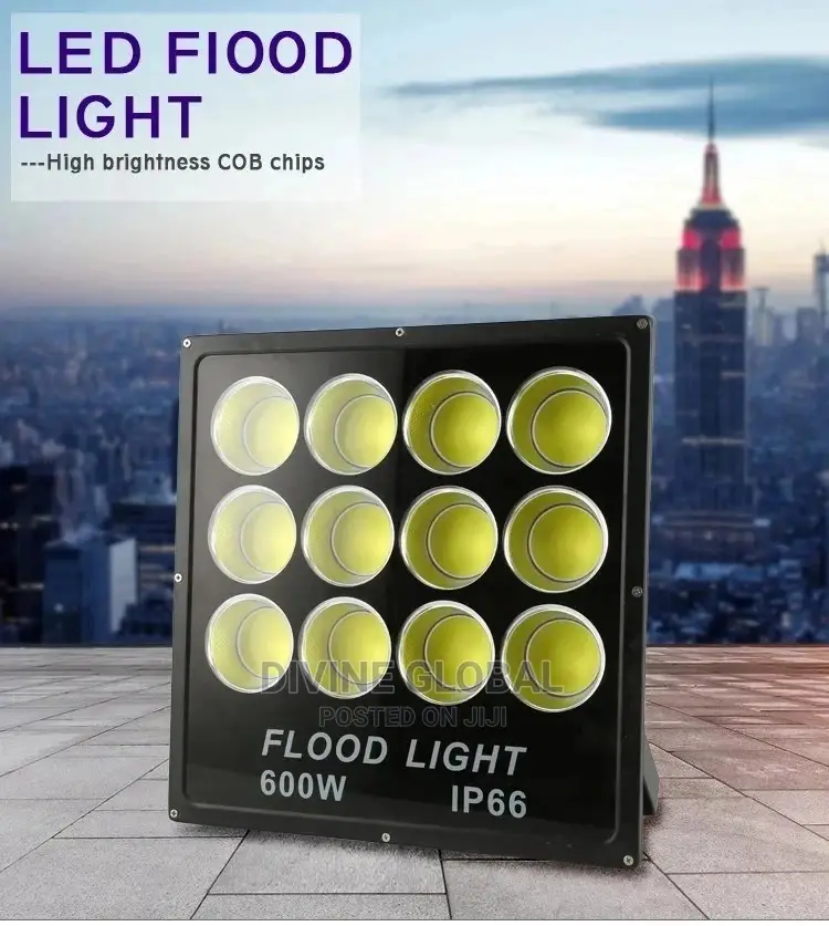 600W LED Flood Light