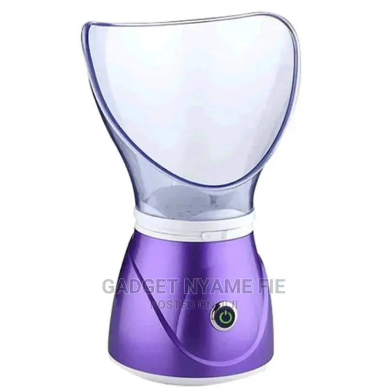 Professional Facial Steamer