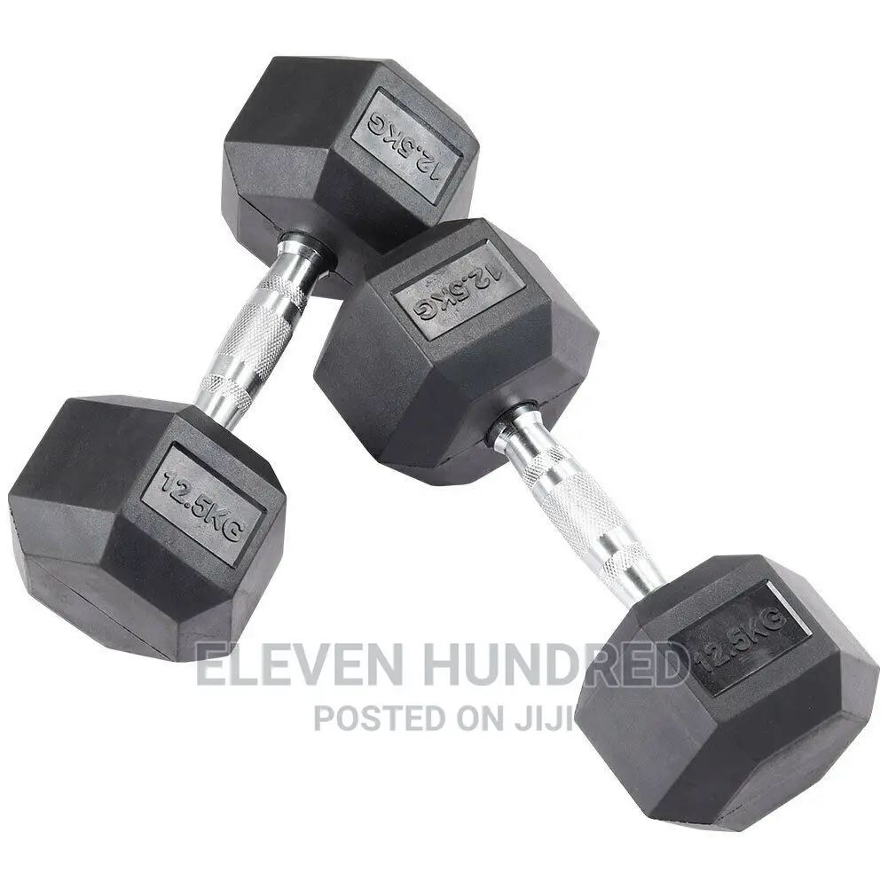 Dumbbells (12.5kg PAIR)
