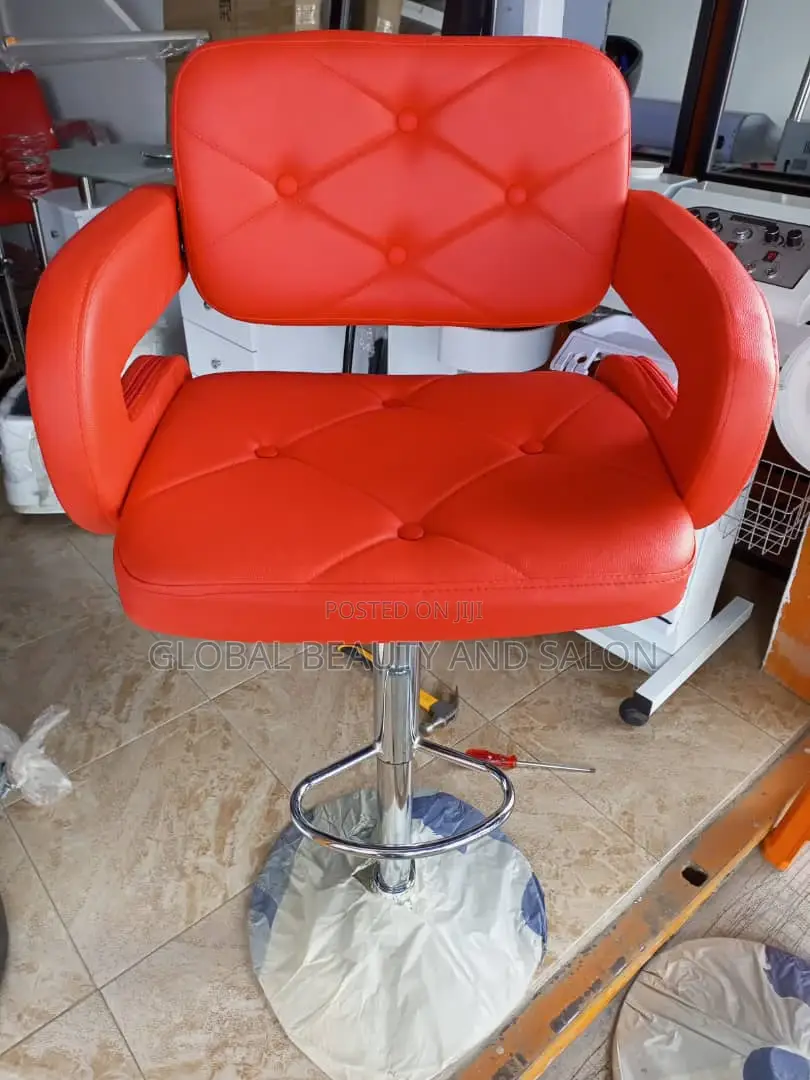 Salon Chair