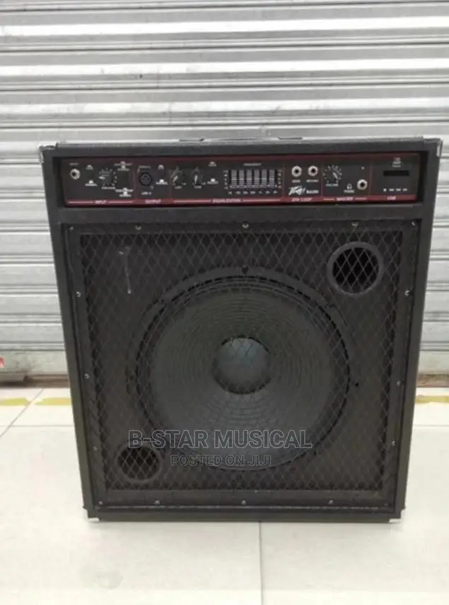 Peavey Bass Combo