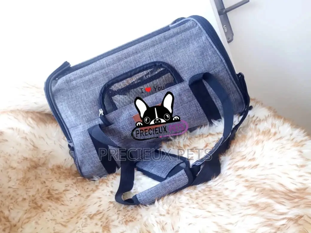 Mobile Toy Dog Bag Series 2021-13