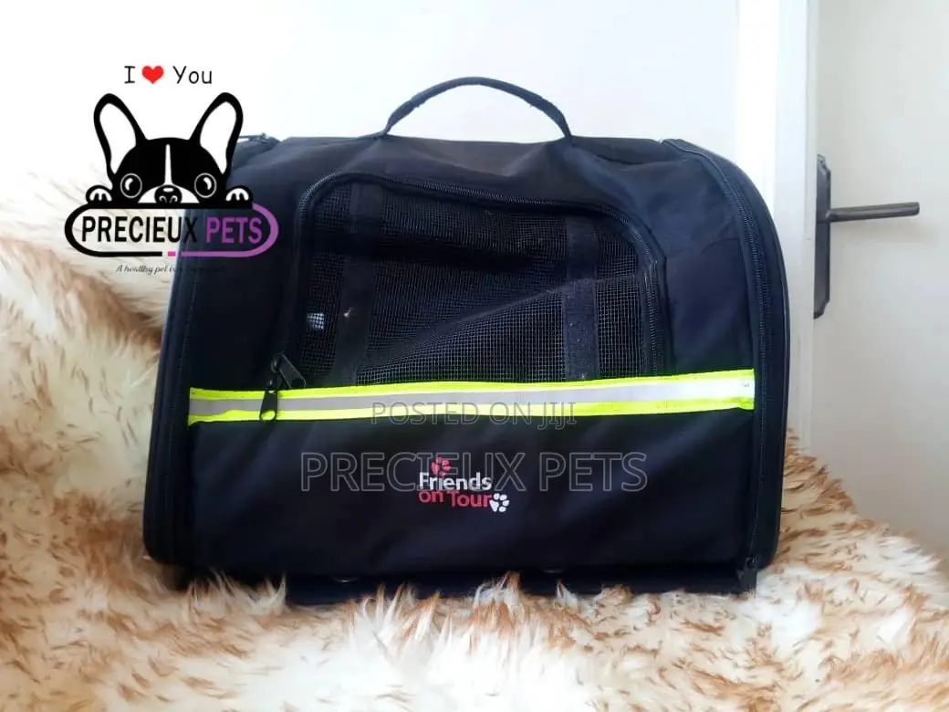 Mobile Toy Dog Bag Series 2021-15