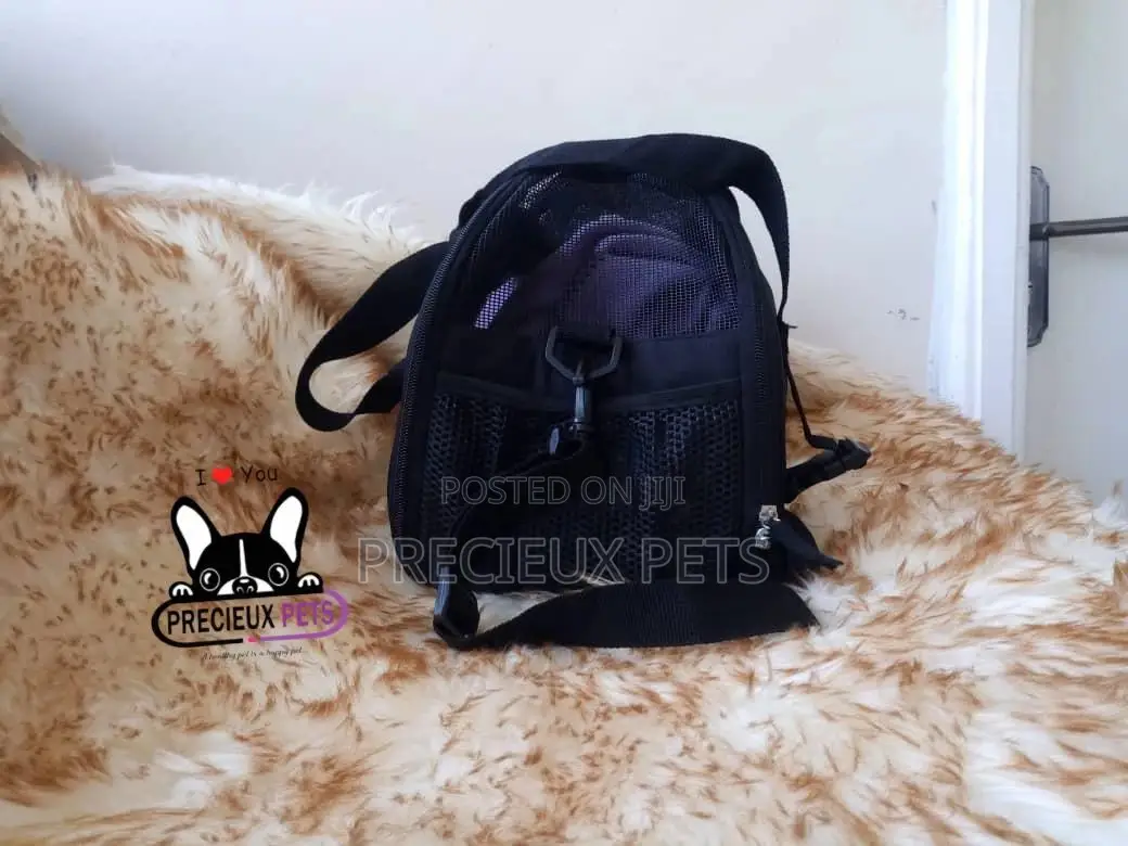 Mobile Toy Dog Bag Series 2021-30