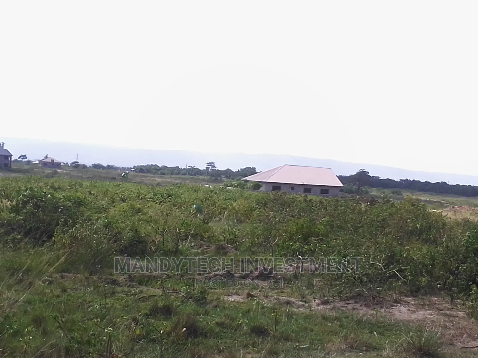 Titled Land at Appolonia