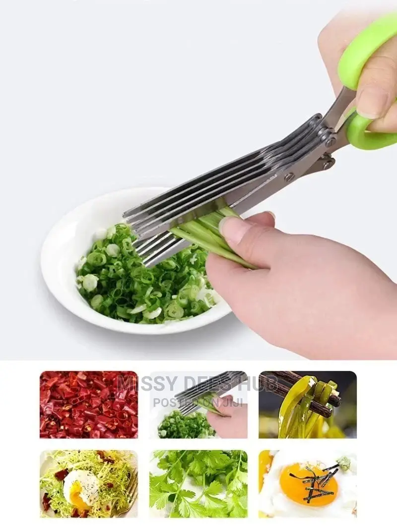5 Layers Multi-Functional Kitchen Scissors