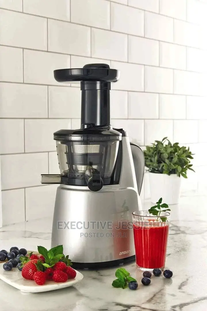 Slow Juicer