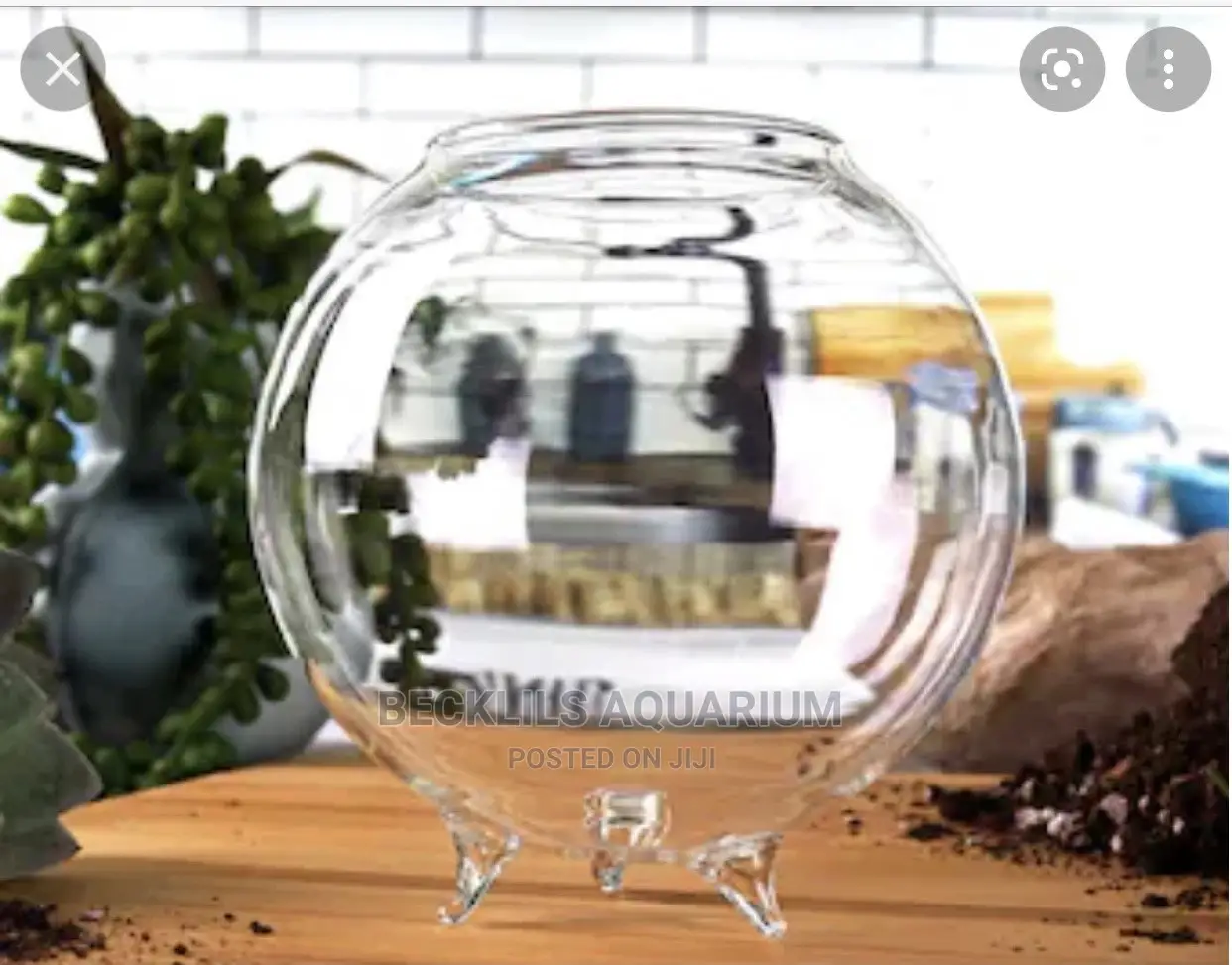 Glass Bowl