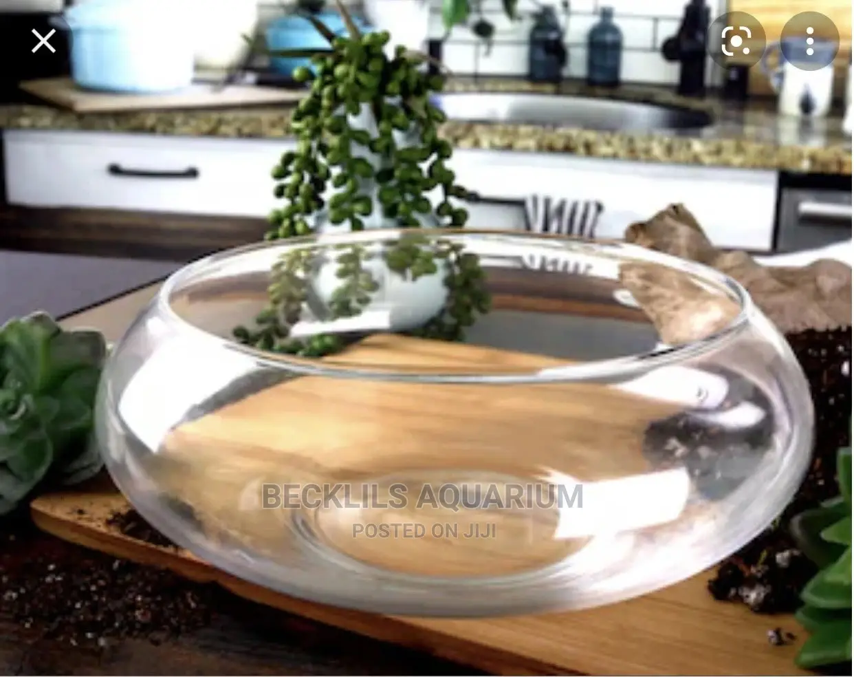 Glass Bowl