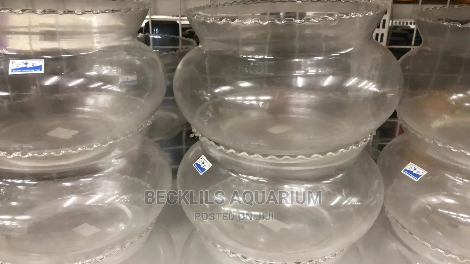 Glass Fish Bowl
