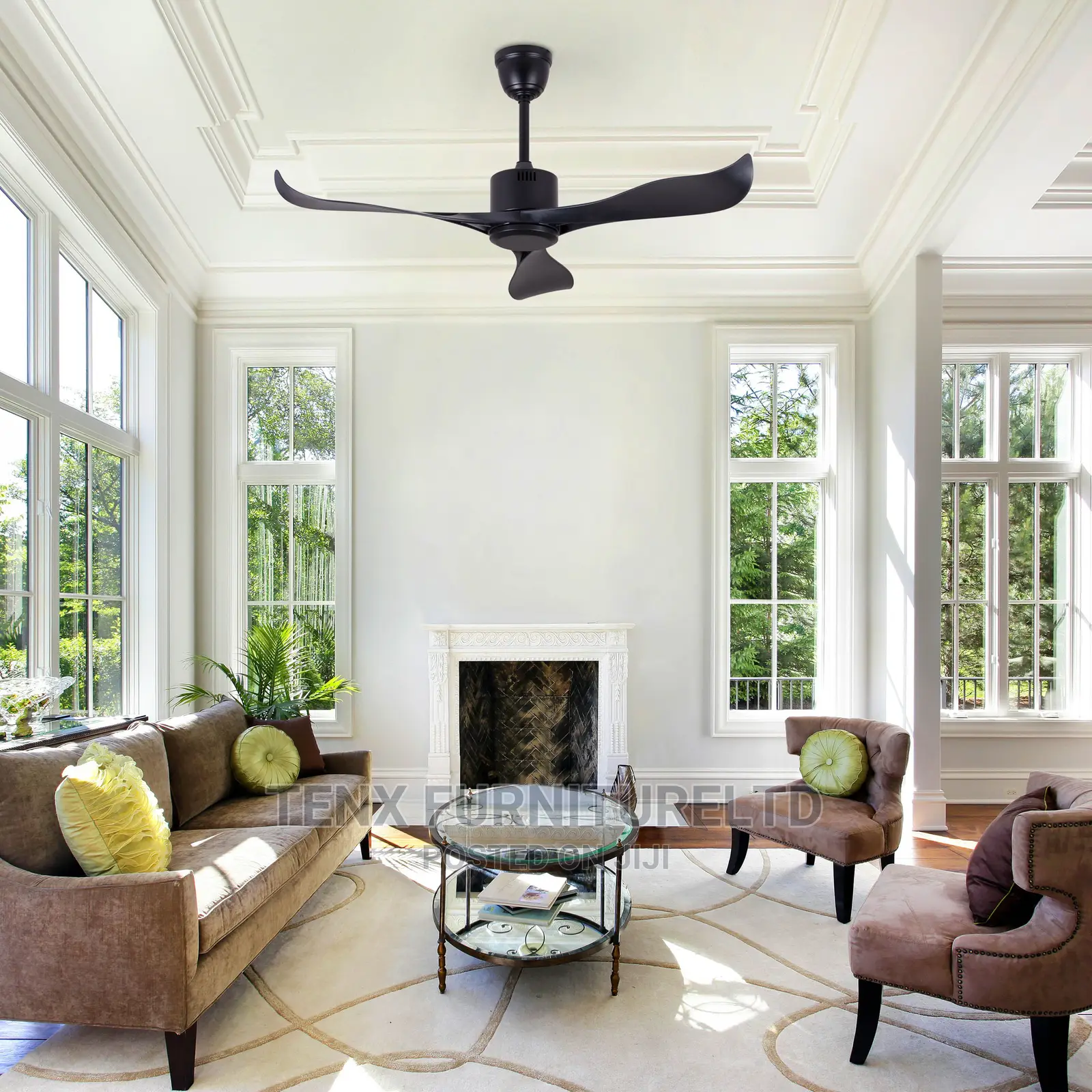 Ceiling Fan (Majestic and Regal in a Matte Black)
