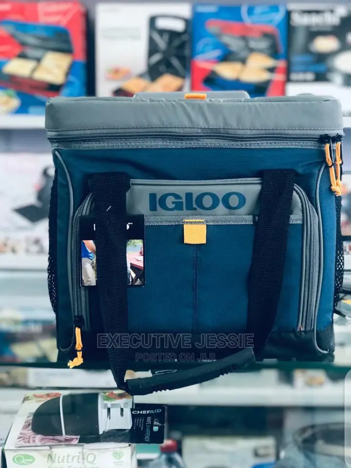 Igloo Cooler Bag and Lunch Bag