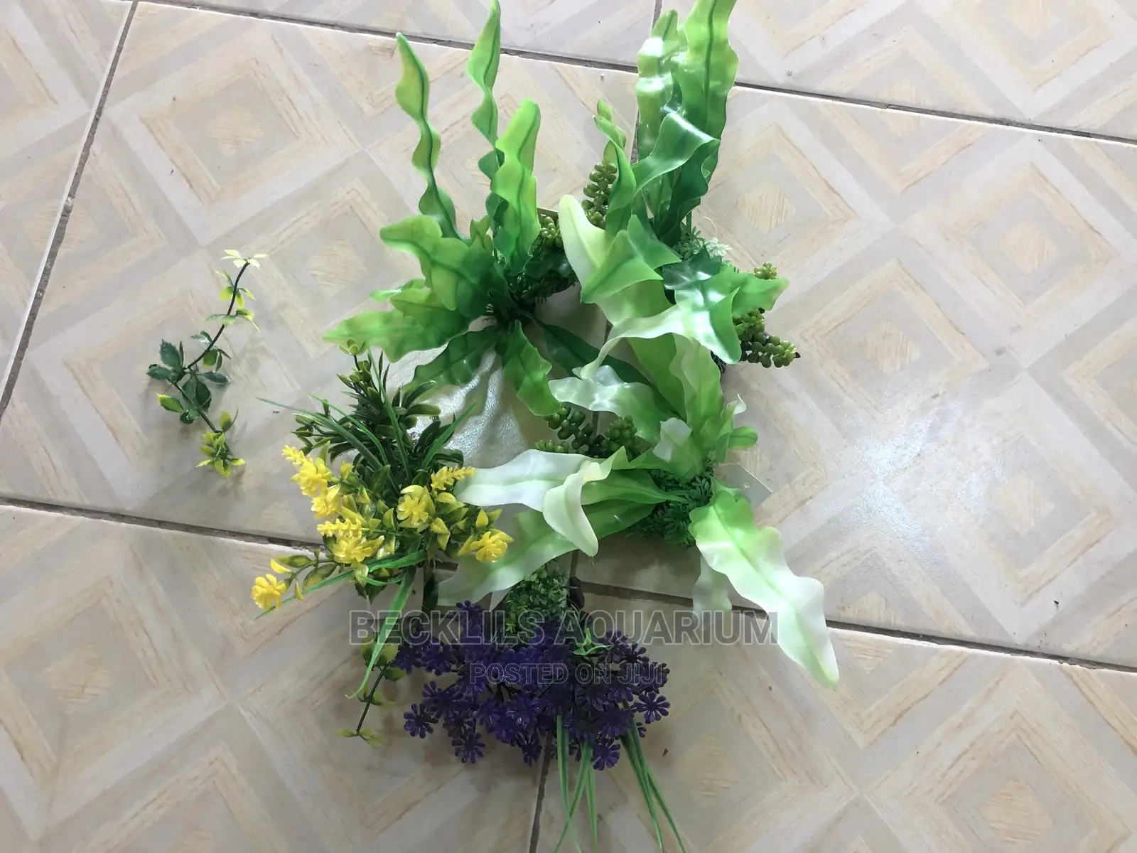 Aquarium Plants N Accessories
