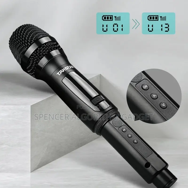 TS-K201 Portable Wireless Microphone