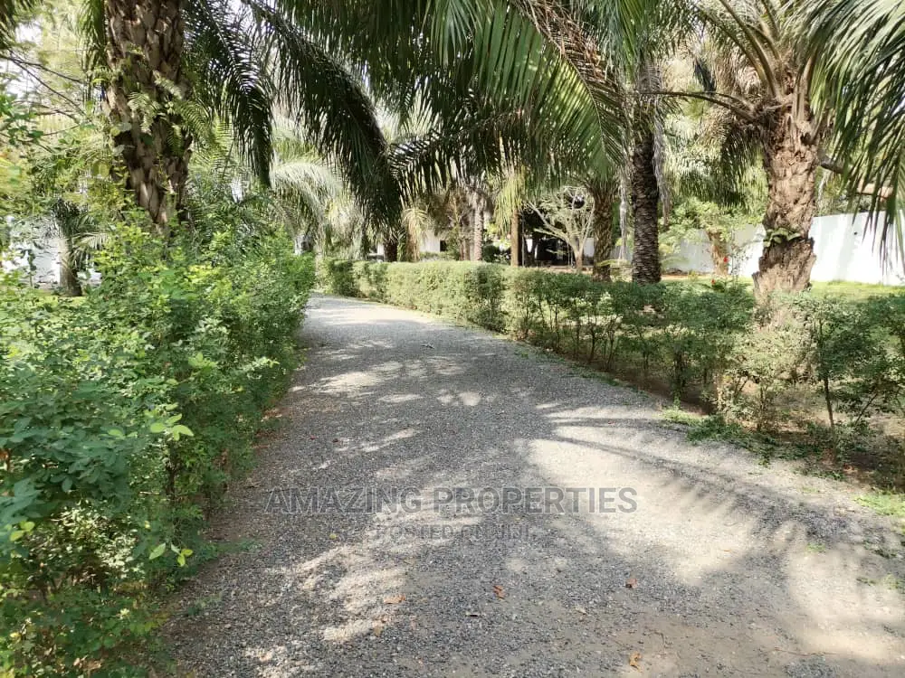 Furnished 7bdrm House in Cantonments for Rent