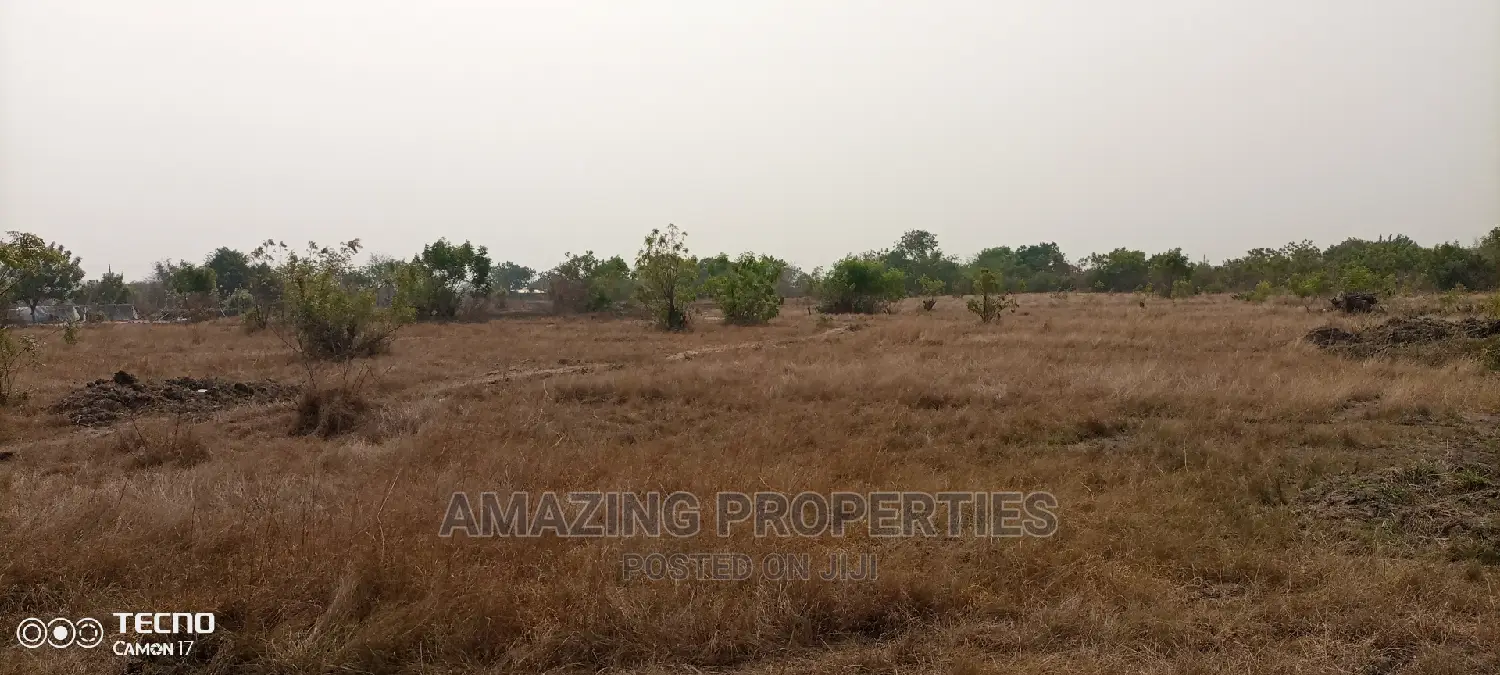 Chief I've Gotten 20 Acres Titled Land Central University