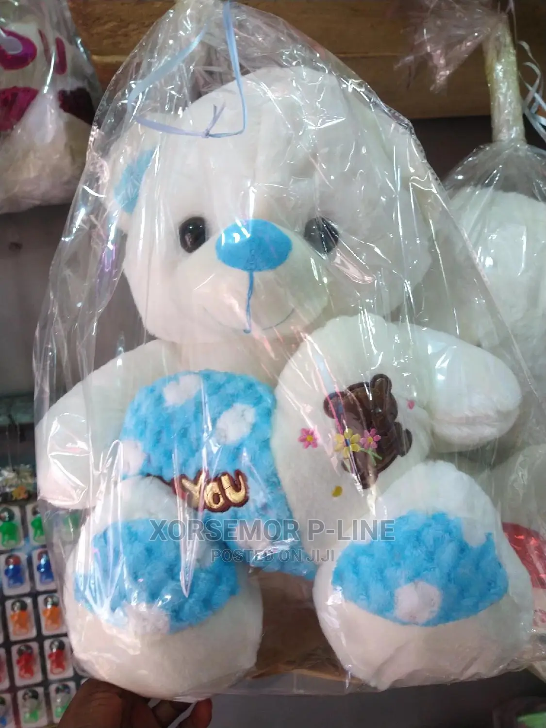 Teddy Companion Friend