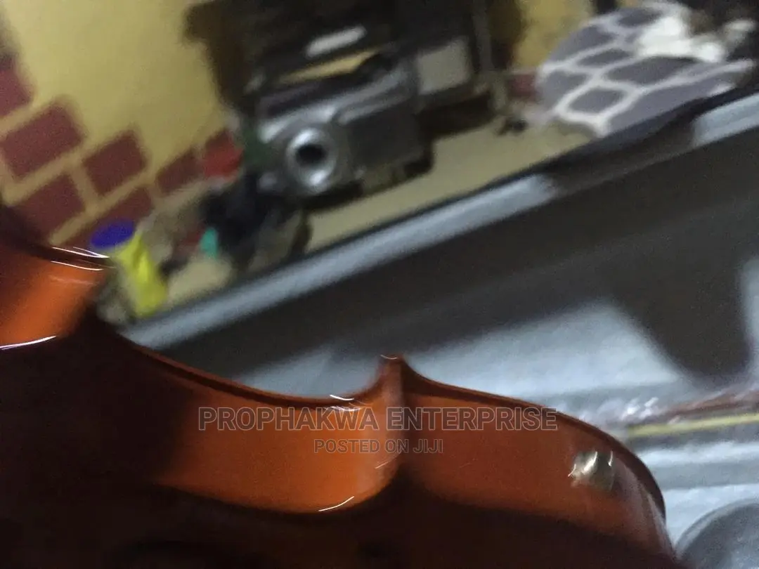 Semi Acoustic Violin