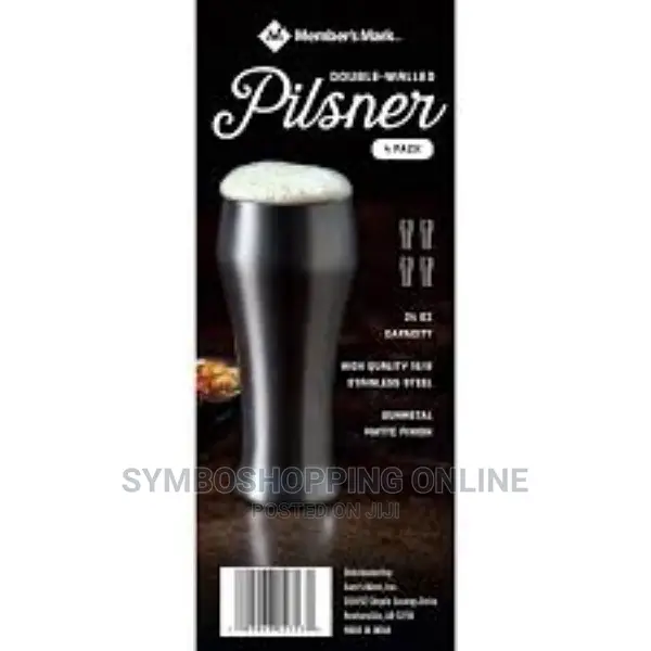 Member's Mark 4-Piece Double Walled Pilsner