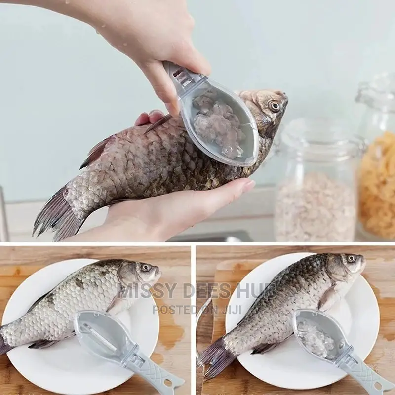 Fish Scales Remover