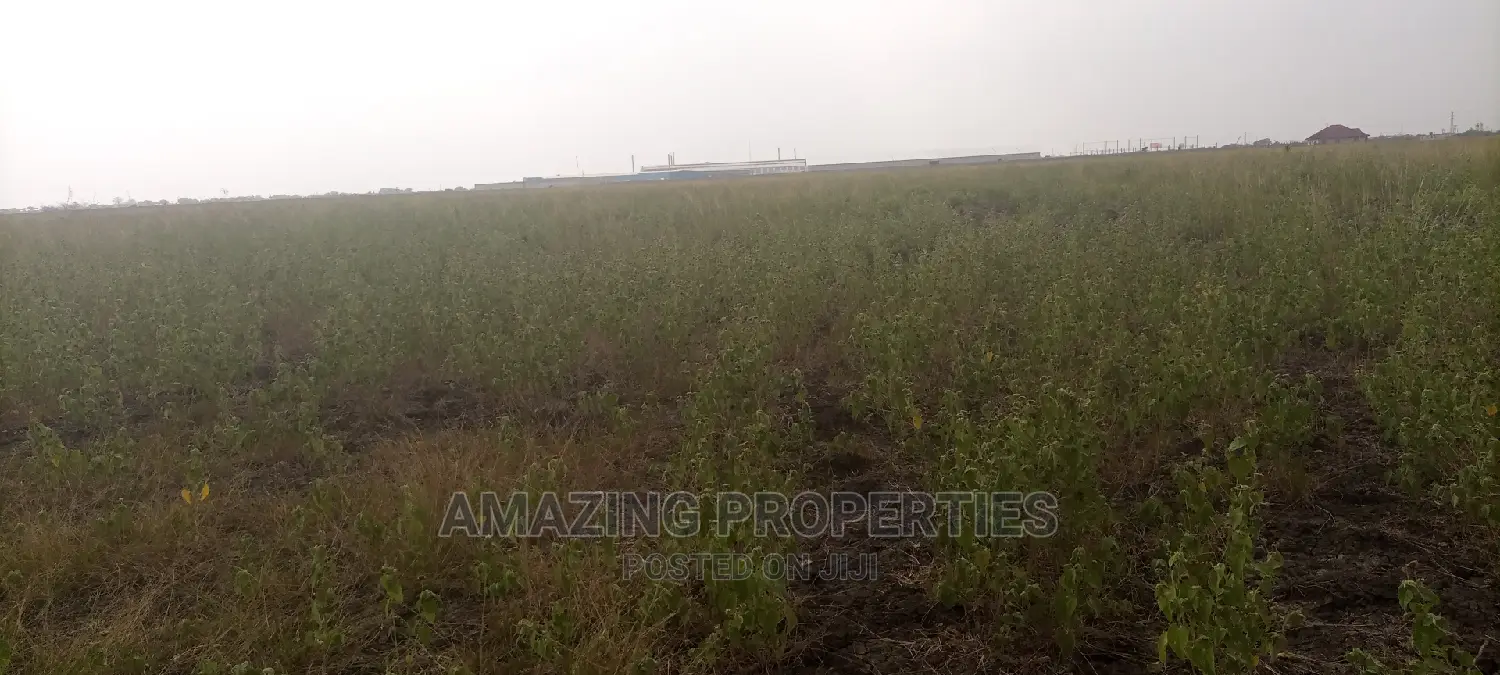 50acres of Land for Sale Adjiringanor Going $220,000per Plot