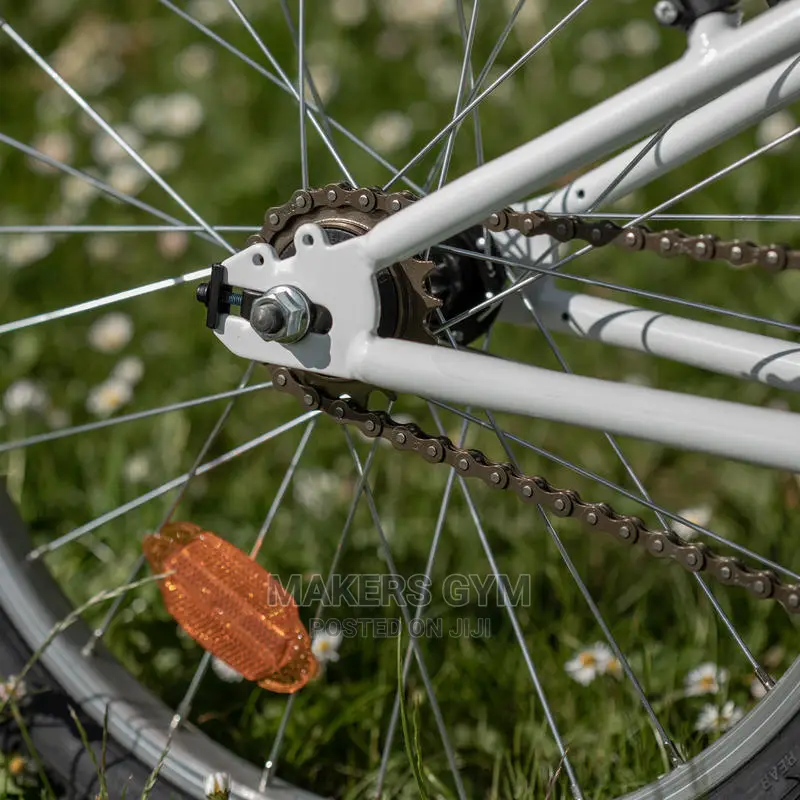 Mountain Bike (20 Inch Kids)