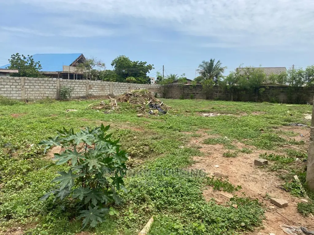 One Plot for Sale