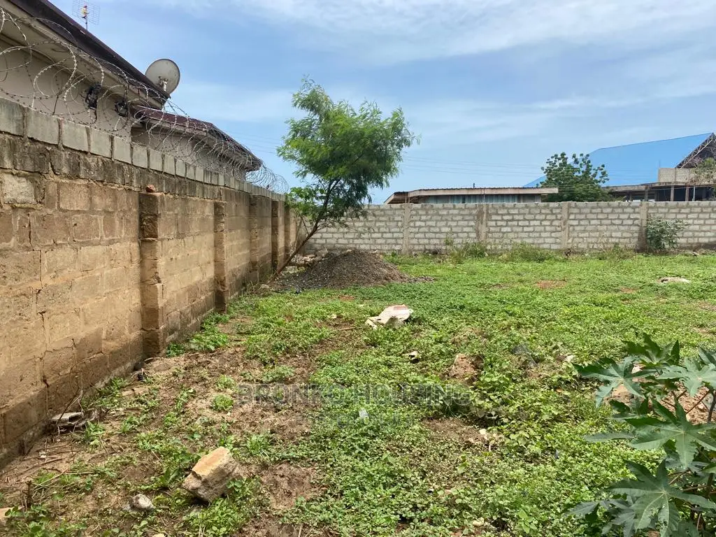 One Plot for Sale