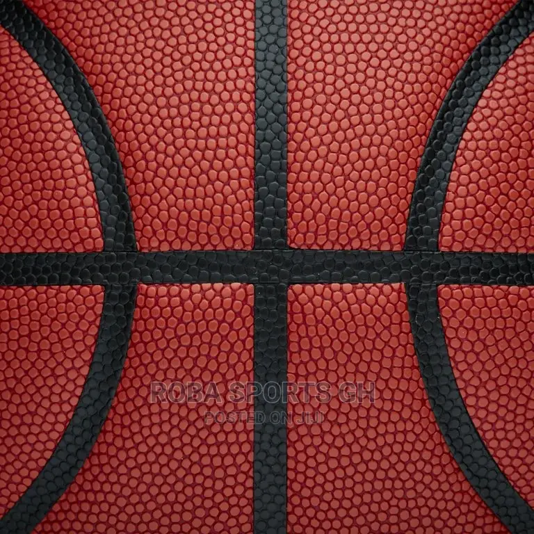 Wilson Basketball