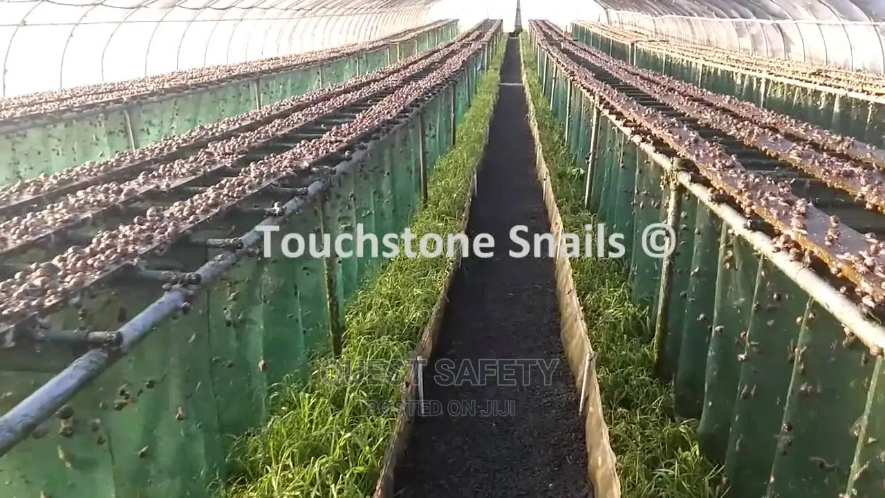 Farming Shade Net(2 Metres by 40 Metres)