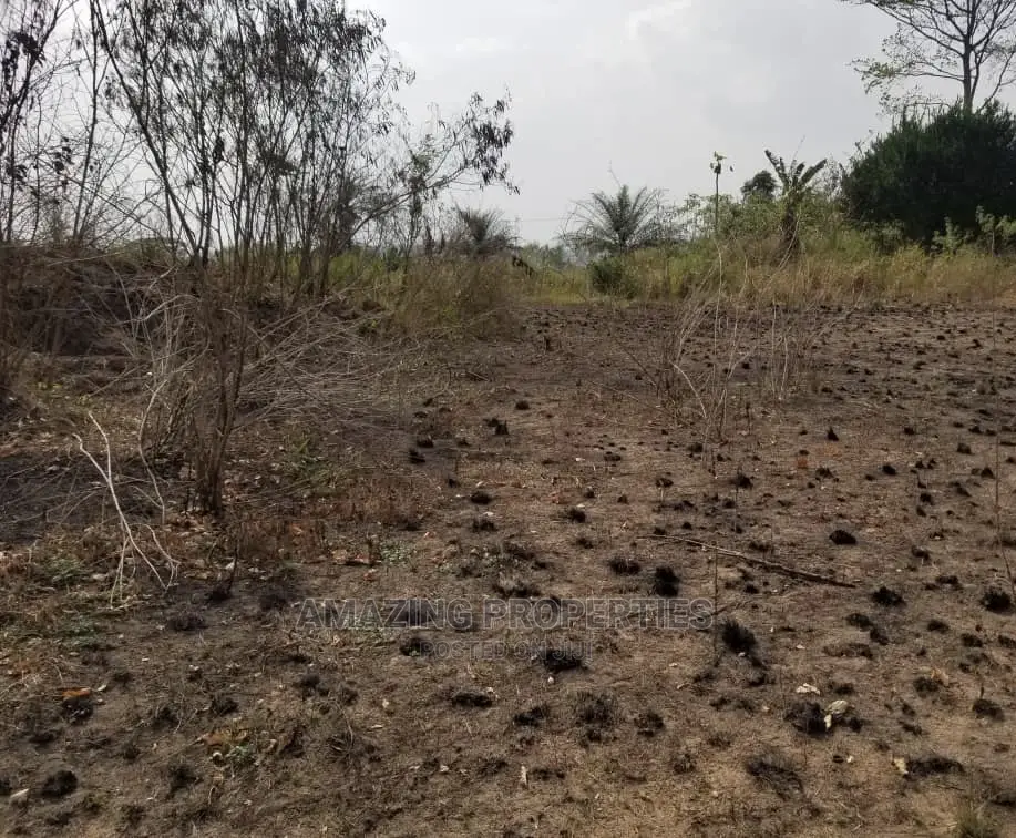 220 Acres of Land at Trassaco