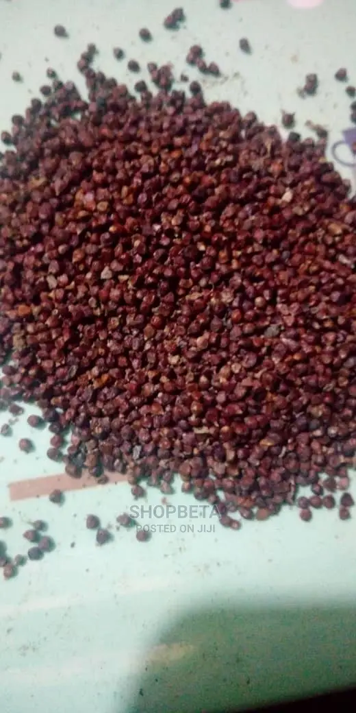 Alligator Pepper Or Grain Of Paradise