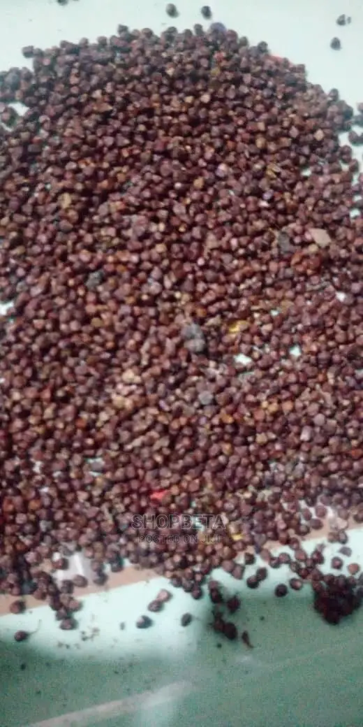 Alligator Pepper Or Grain Of Paradise