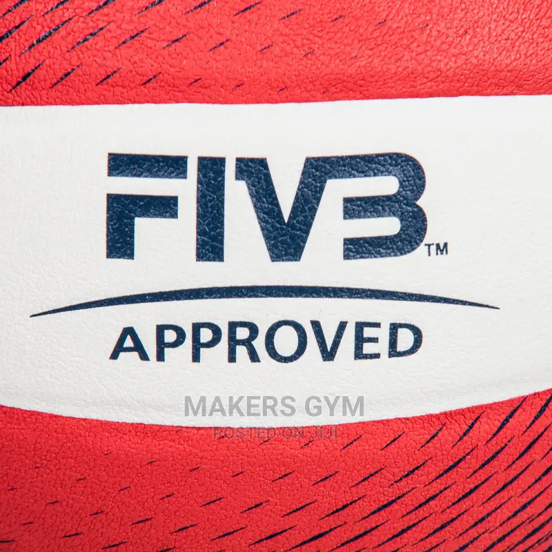 Volleyballs (Pro)
