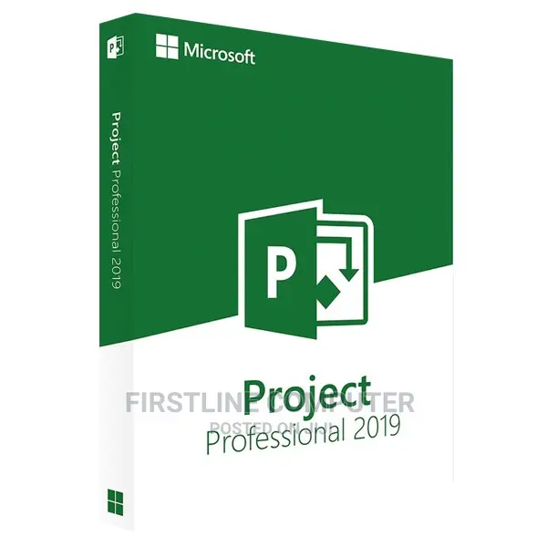 Microsoft Project 2019 Professional