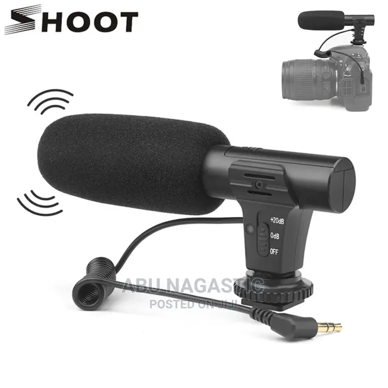 Camera and Phone Video Microphone