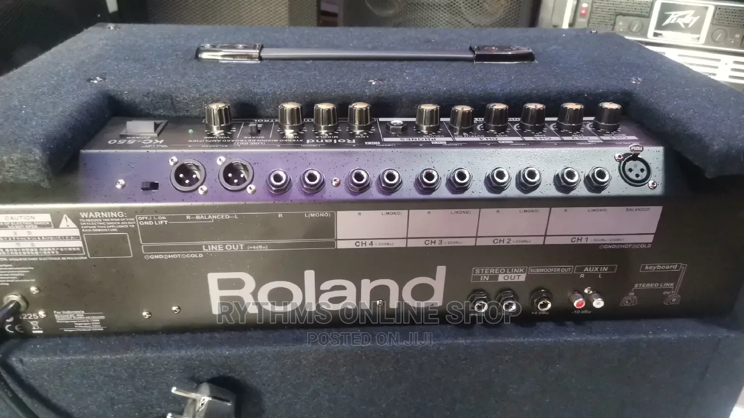 Roland Keyboard Combo (Kc-550)