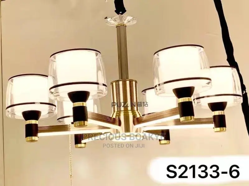 Chandelier/Pendent