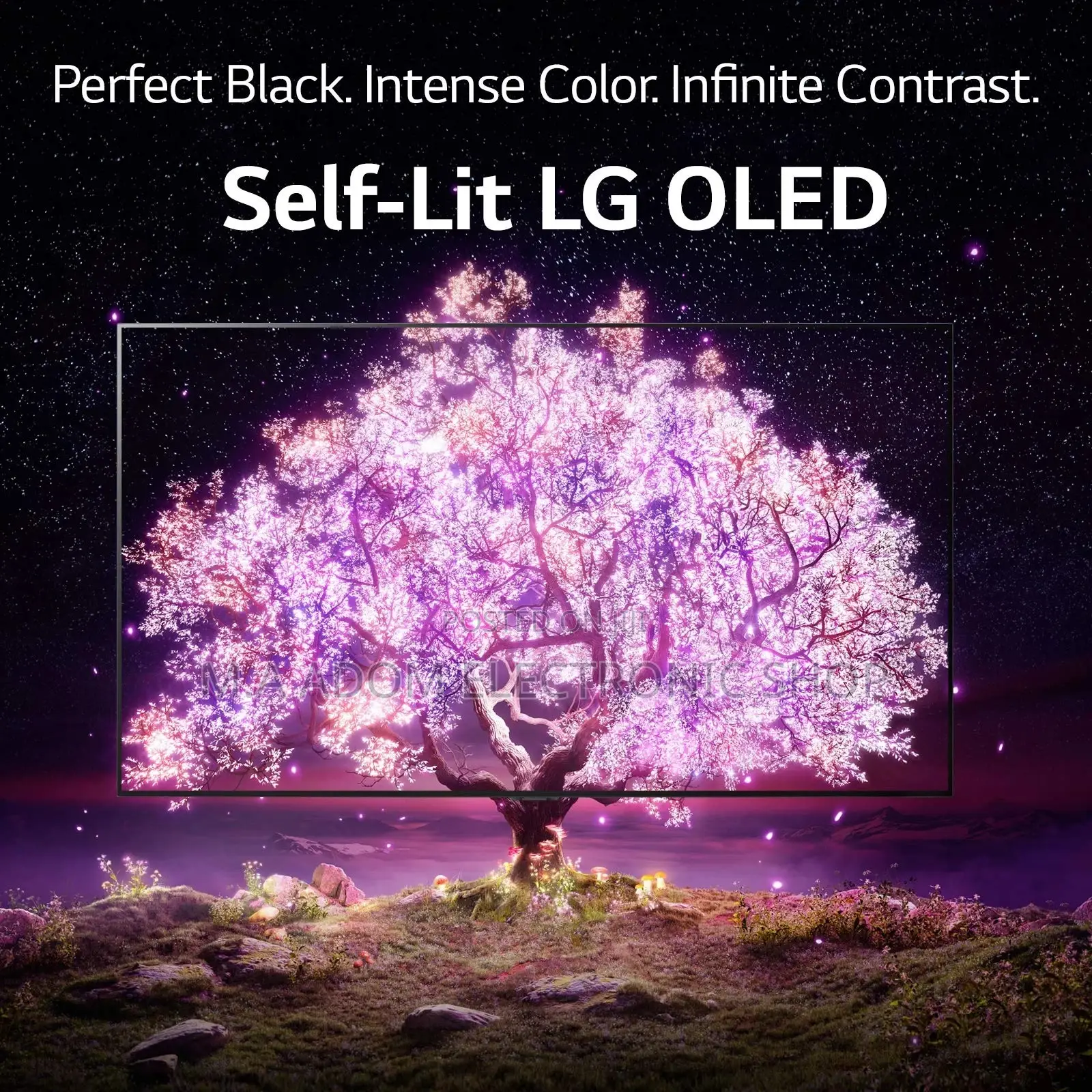 New 2021 Lg Oled 65 A1 Ultra 4K Smart Tv With Built in Alexa